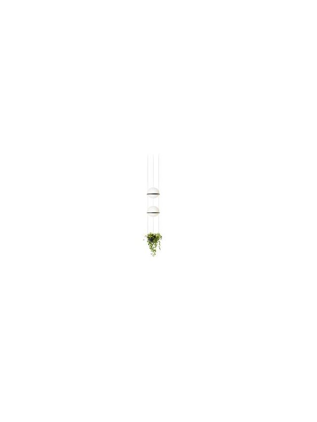 PALMA SUSPENSION-ANTHRACITE-AVEC VERDURE-CASAMBI-2