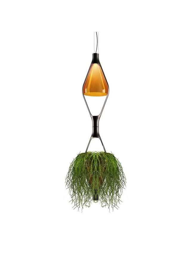 VICEVERSA SUSPENSION