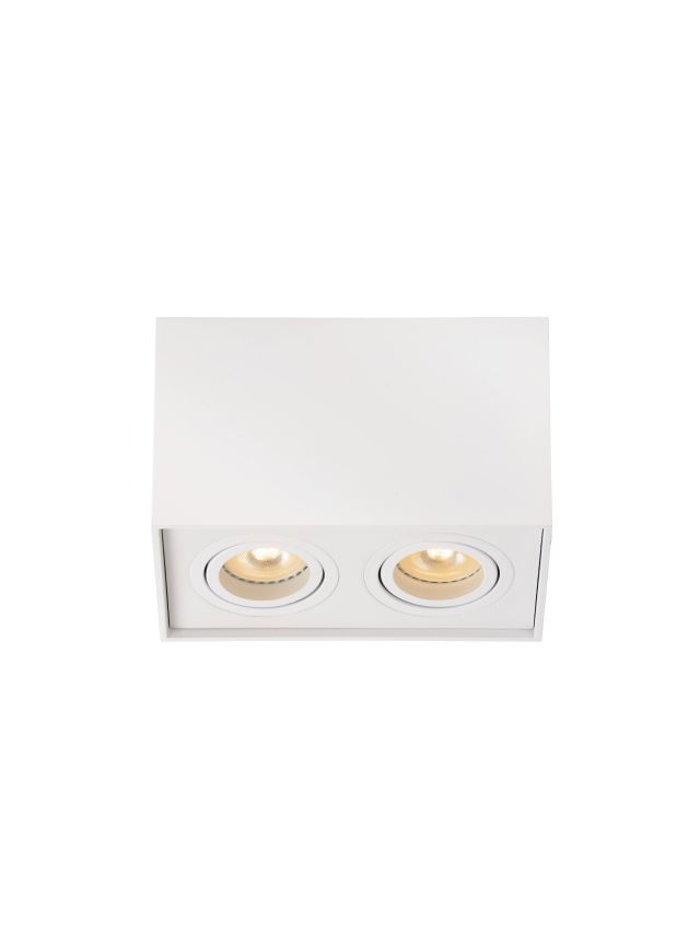 TUBE SPOT PLAFOND 2XGU10 BLANC