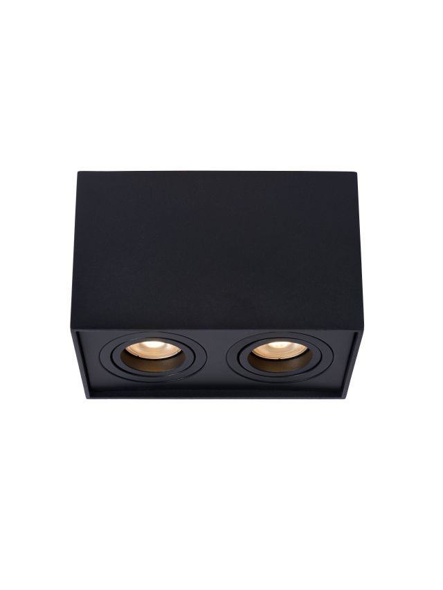 TUBE SPOT PLAFOND 2XGU10 NOIR