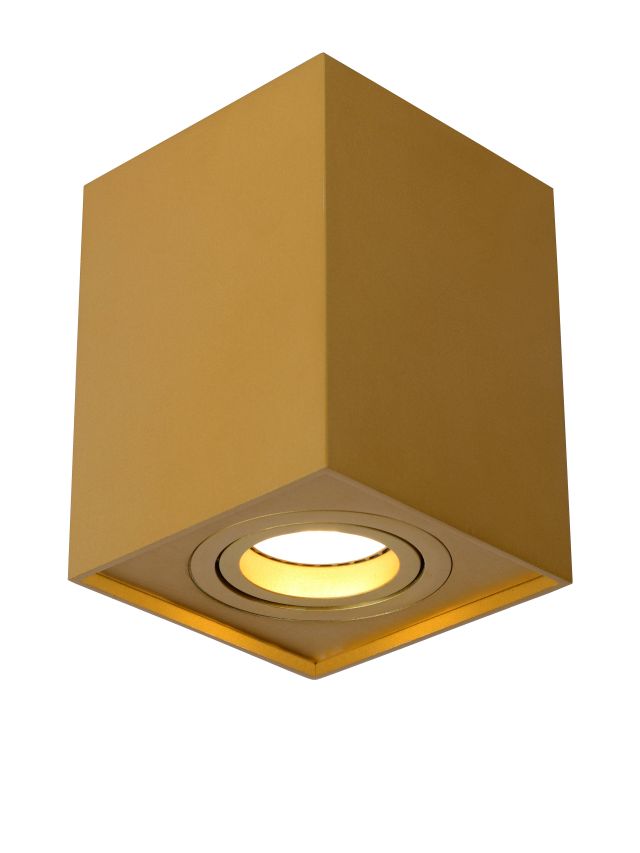 TUBE SPOT PLAFOND 1XGU10 OR MAT / LAITON