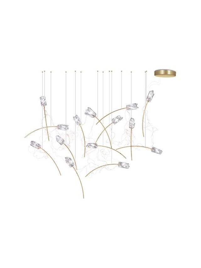 TULIP SUSPENSION