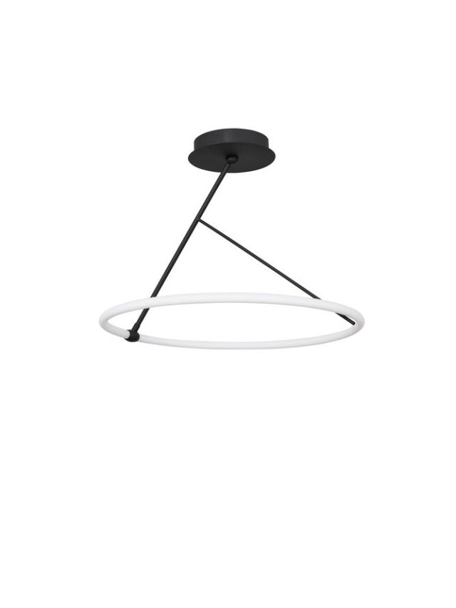 JANUS SUSPENSION