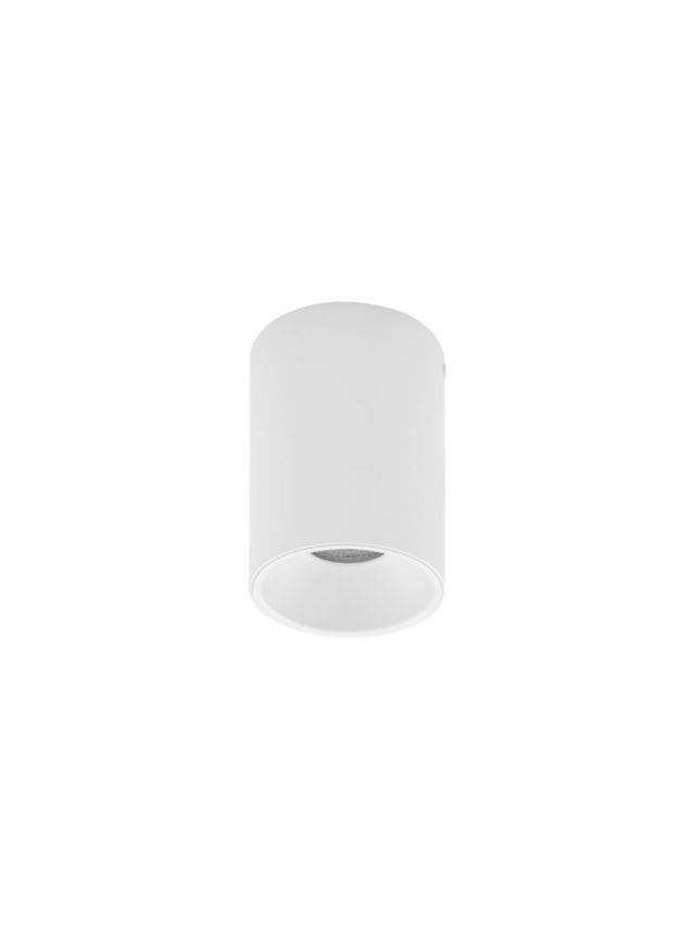 ID-04417417-1.jpg