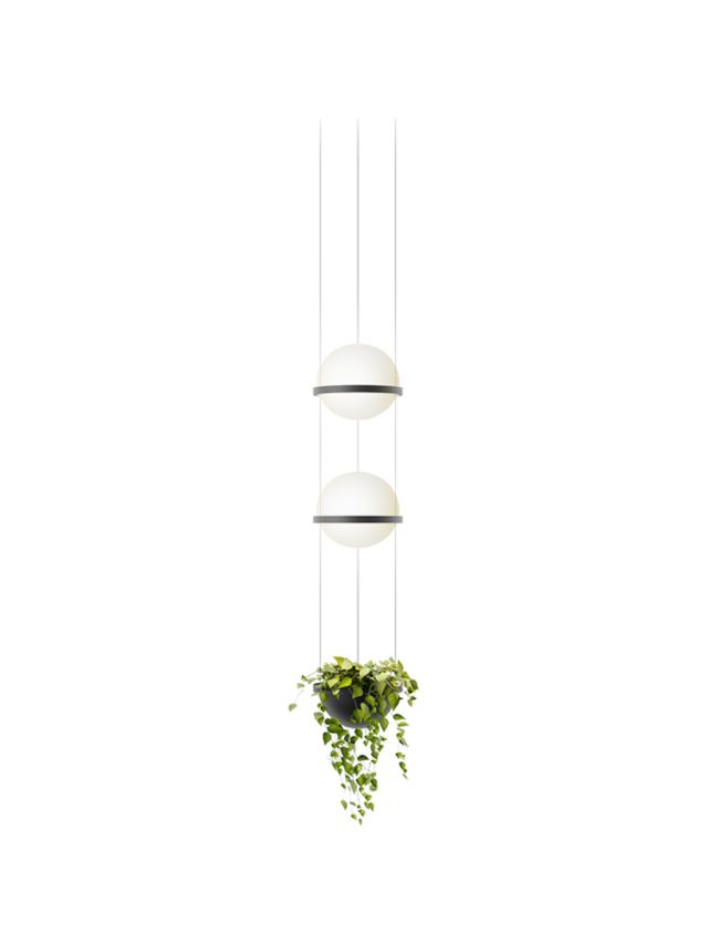 PALMA SUSPENSION-ANTHRACITE-AVEC VERDURE-PUSH/0-10V/1-10V/DALI-2
