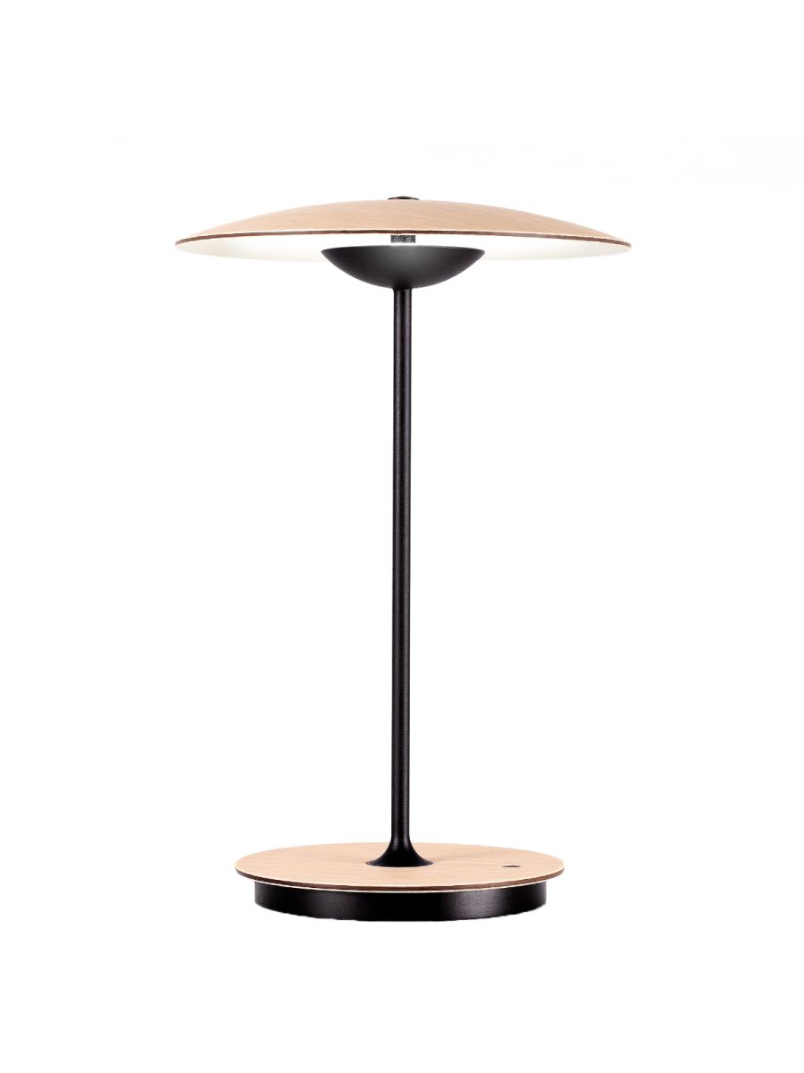 GINGER 20 M LAMPE SUR BATTERIE