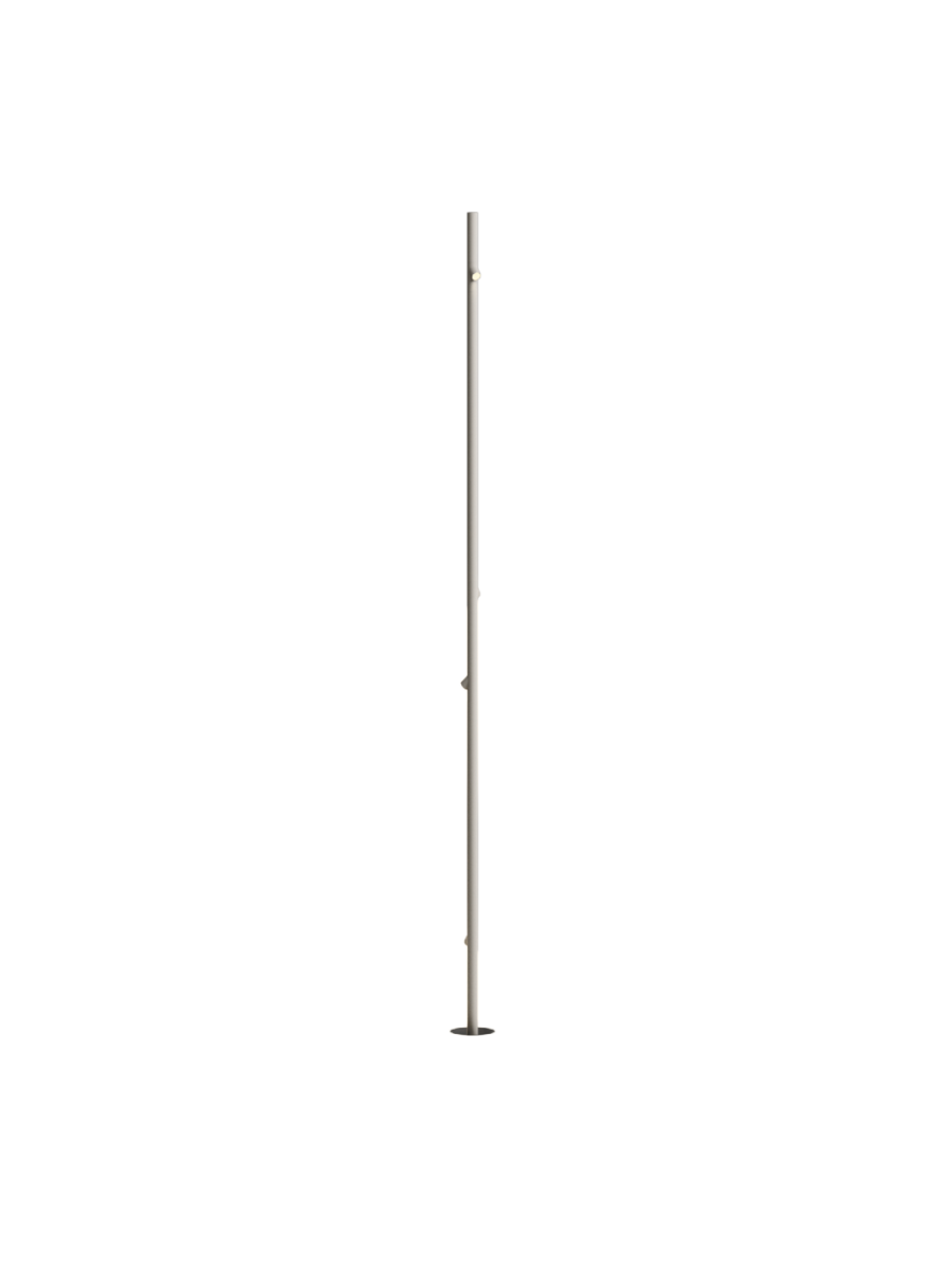BAMBOO BORNE