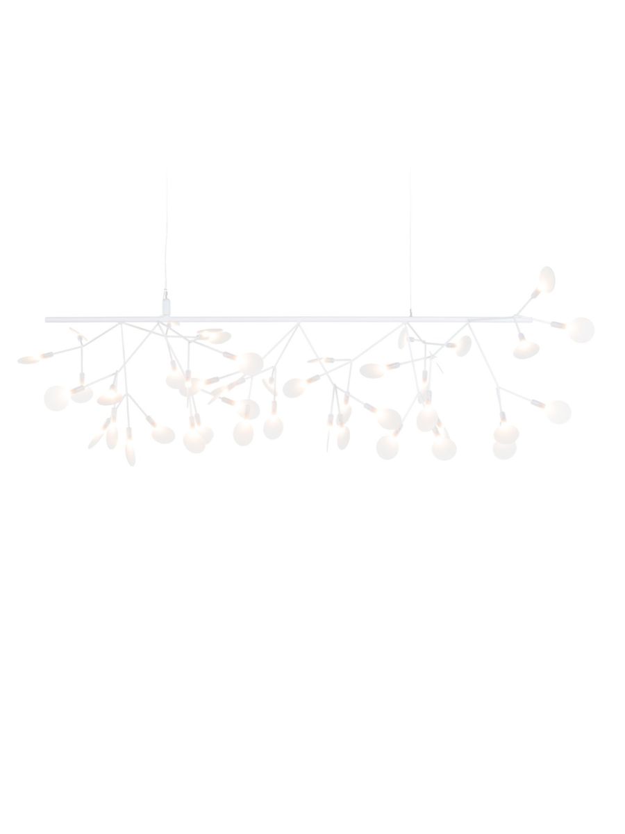 HERACLEUM III ENDLESS-BLANC