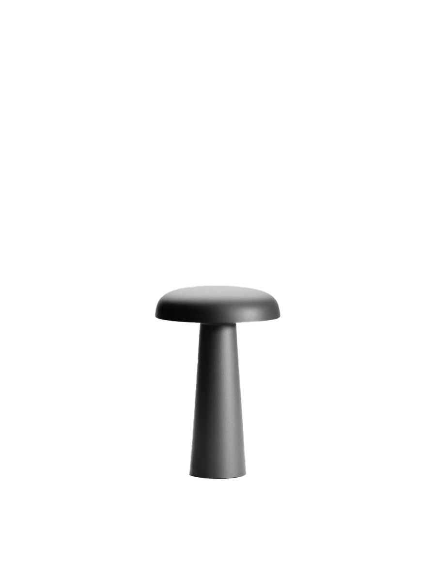 24 866 LAMPE SUR BATTERIE GRAPHITE