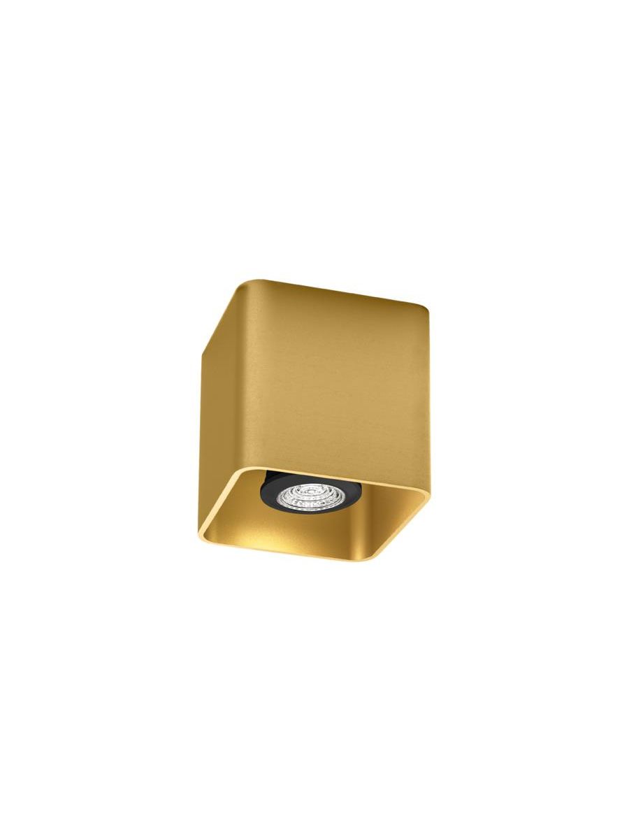 DOCUS CEILING SURF 1.0 PAR16 G MAX. 12W GU10 100-240VAC