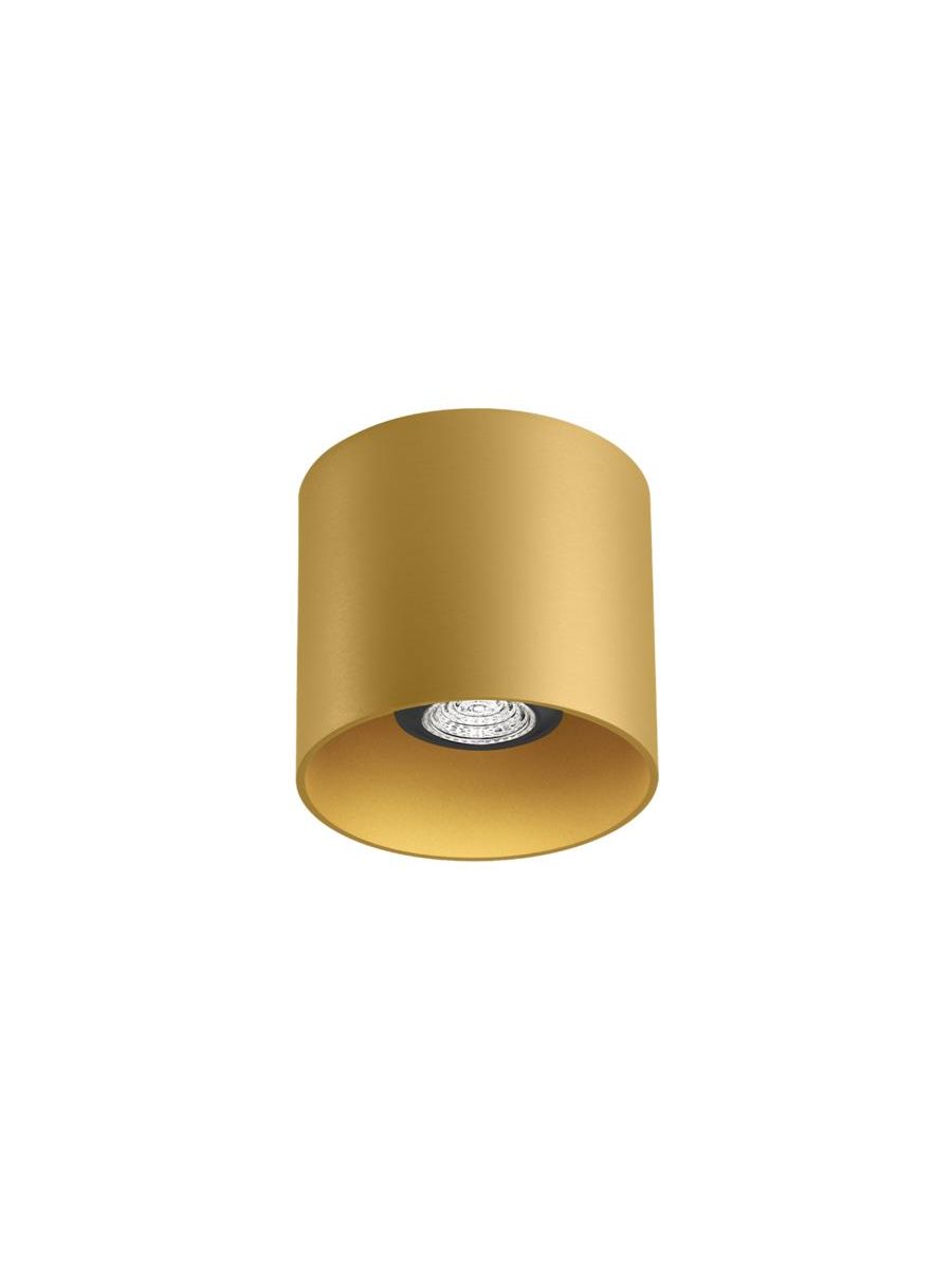 RAY CEILING SURF 1.0 PAR16 G MAX. 12W GU10 100-240VAC