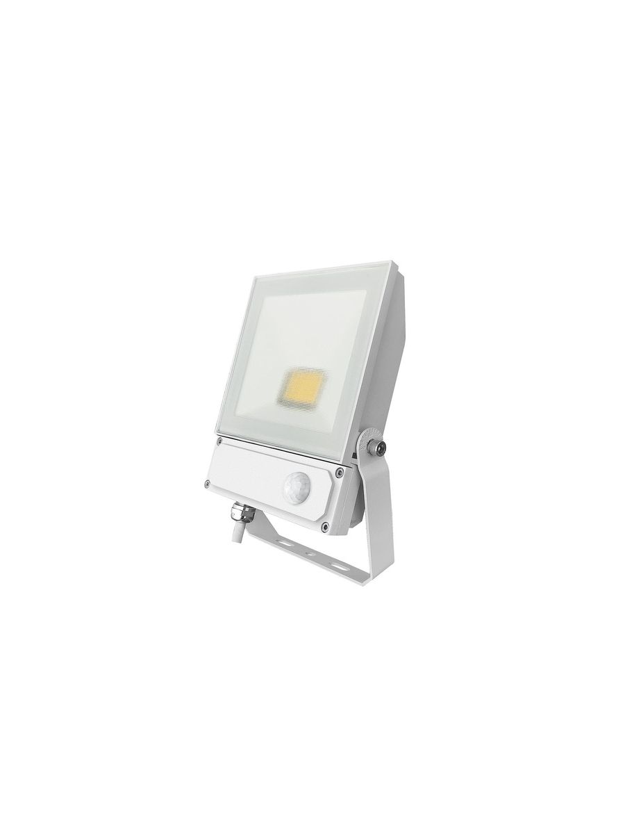 NEWLOOP III PROJECTEUR AVEC DETECTEUR