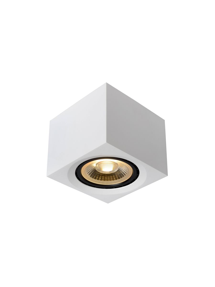 FEDLER SPOT PLAFOND LED DIM TO WARM GU10 1X12W 2200K/3000K BLANC