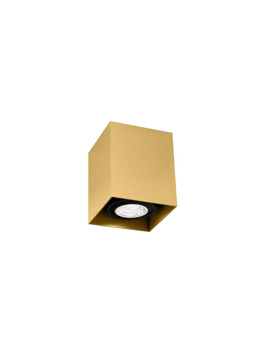 BOX MINI CEILING SURF 1.0 PAR16 G MAX. 12W GU10 100-240VAC