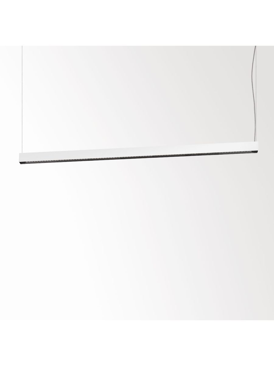 CONFORM P28 DOWN-UP 953067 DIM4 W-B