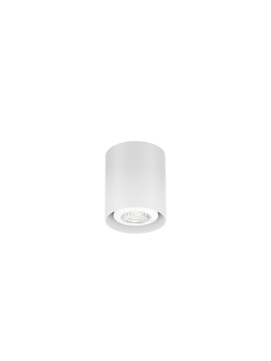 RAY MINI CEILING SURF 1.0 PAR16 W MAX. 12W GU10 100-240VAC