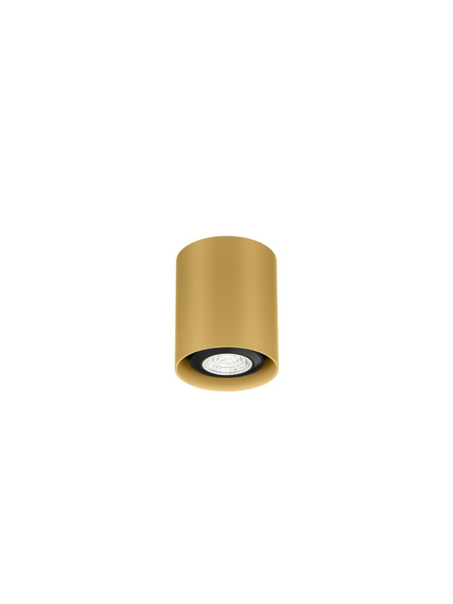 RAY MINI CEILING SURF 1.0 PAR16 G MAX. 12W GU10 100-240VAC