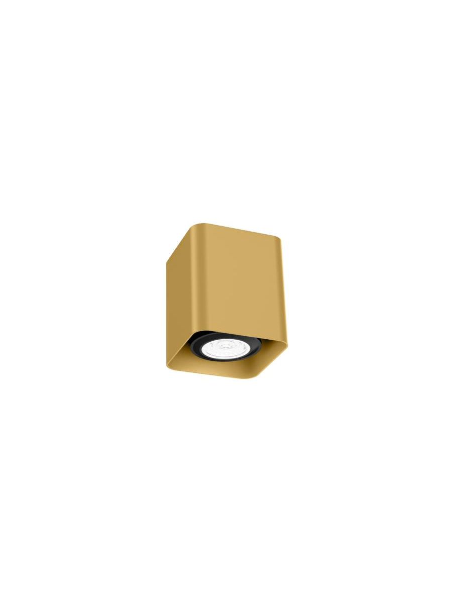DOCUS MINI CEILING SURF 1.0 PAR16 G MAX. 12W GU10 100-240VAC