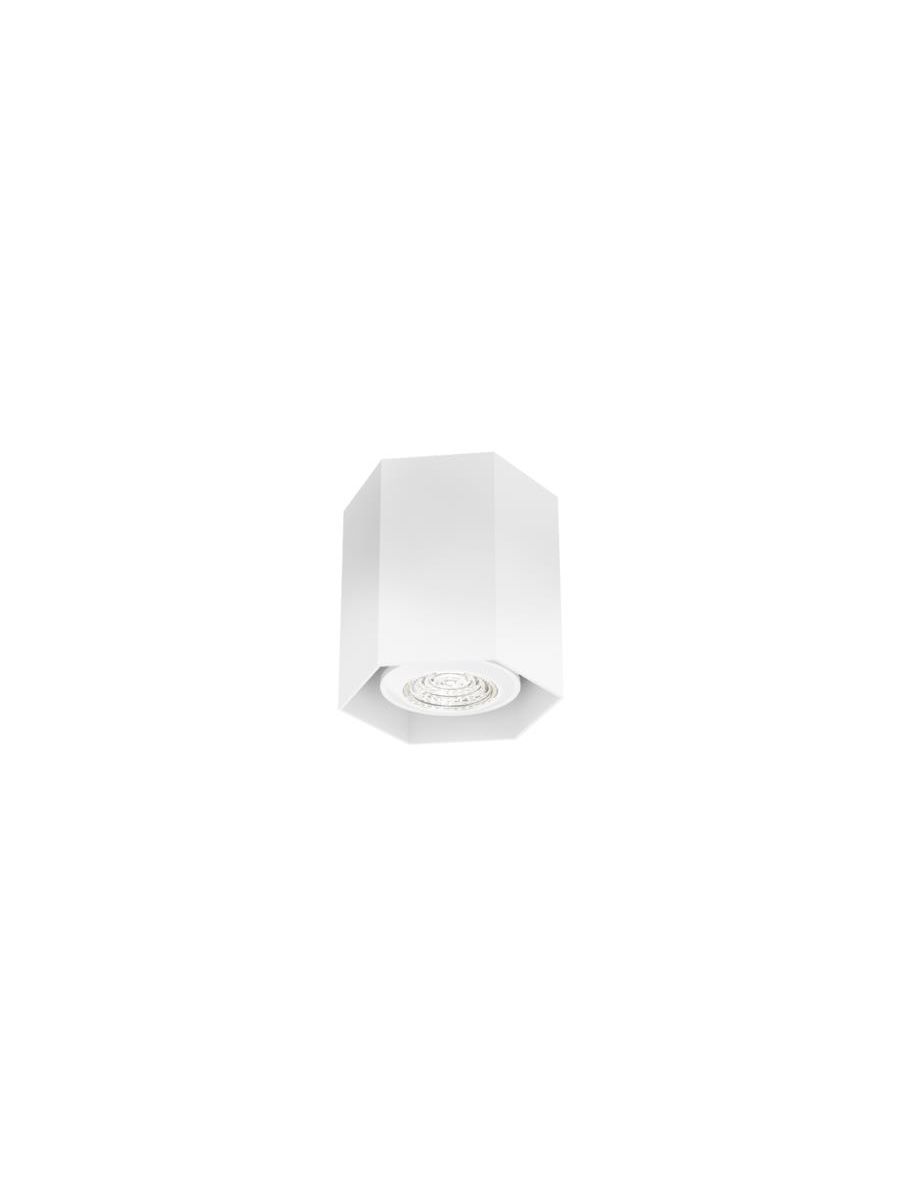 HEXO MINI CEILING SURF 1.0 PAR16 W MAX. 12W GU10 100-240VAC