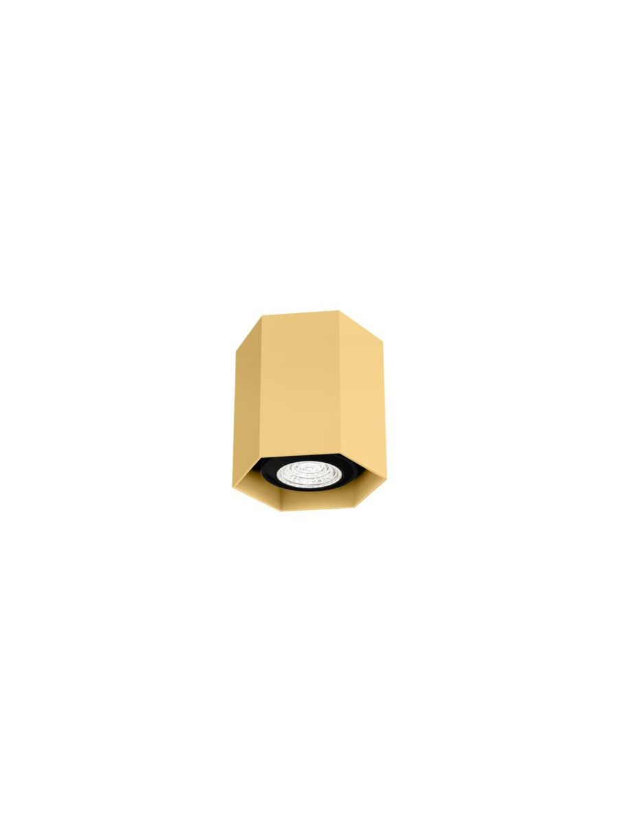 HEXO MINI CEILING SURF 1.0 PAR16 G MAX. 12W GU10 100-240VAC