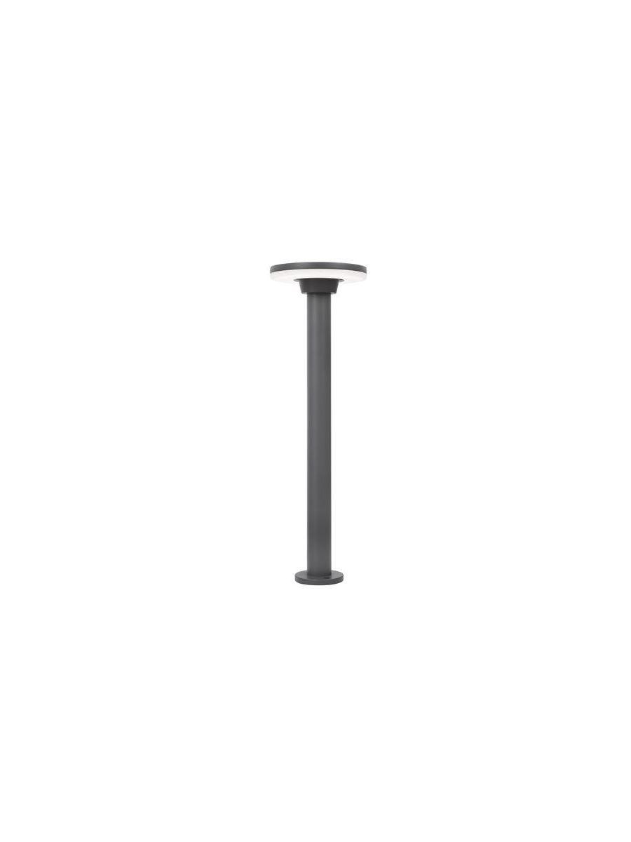 ID-04416750-1.jpg