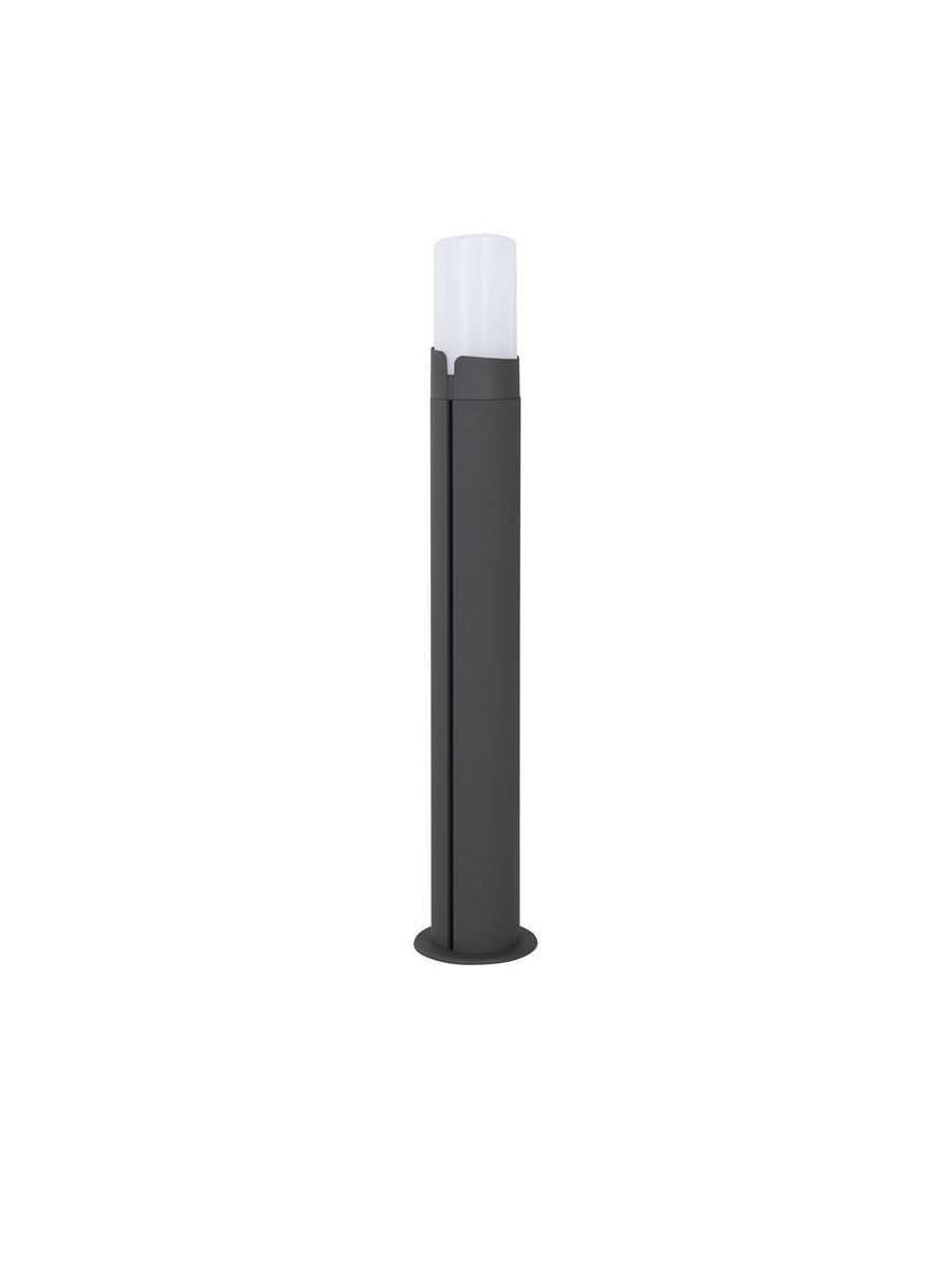 ID-04416787.jpg