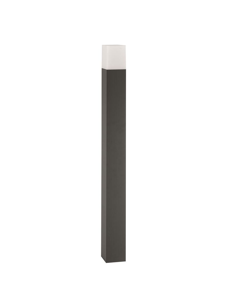 ID-04416788-1.jpg