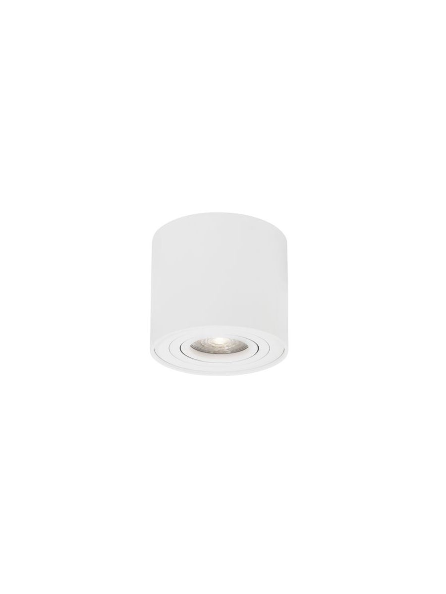 ID-04416998-1.jpg