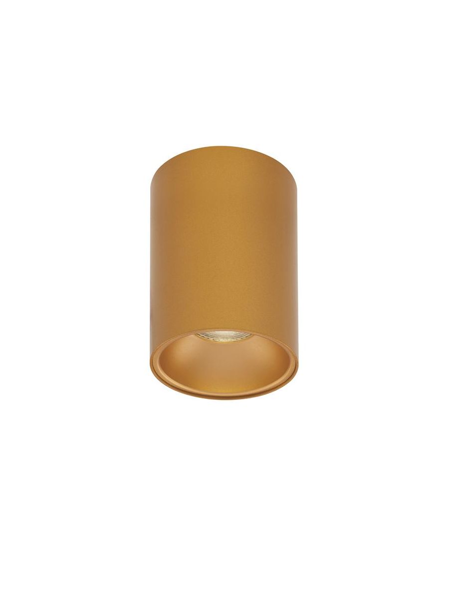 ID-04417421.jpg
