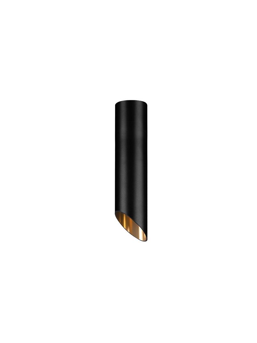 ID-04417440.jpg