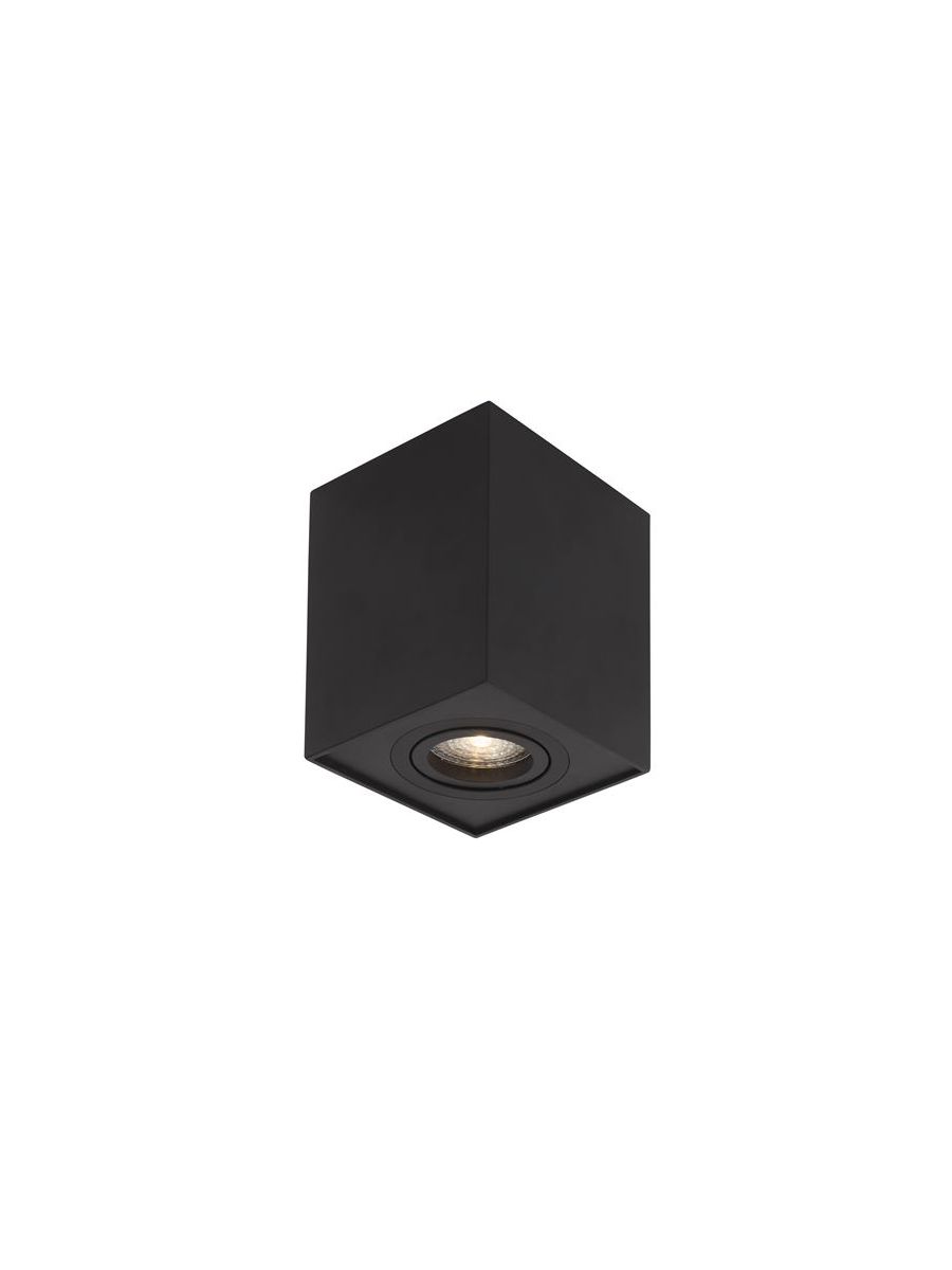 ID-04417451.jpg