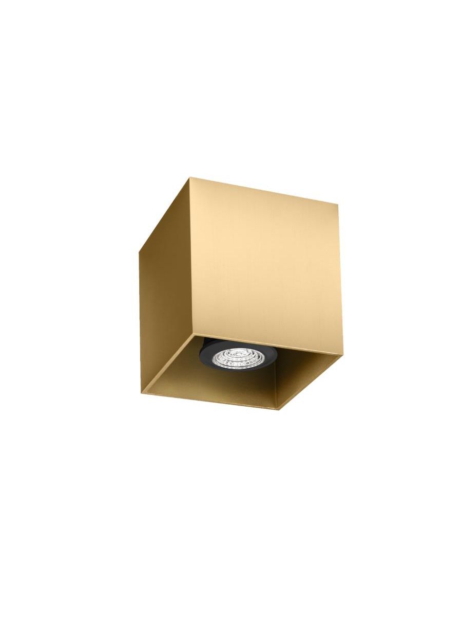 BOX CEILING SURF 1.0 PAR16 M MAX. 12W GU10 100-240VAC