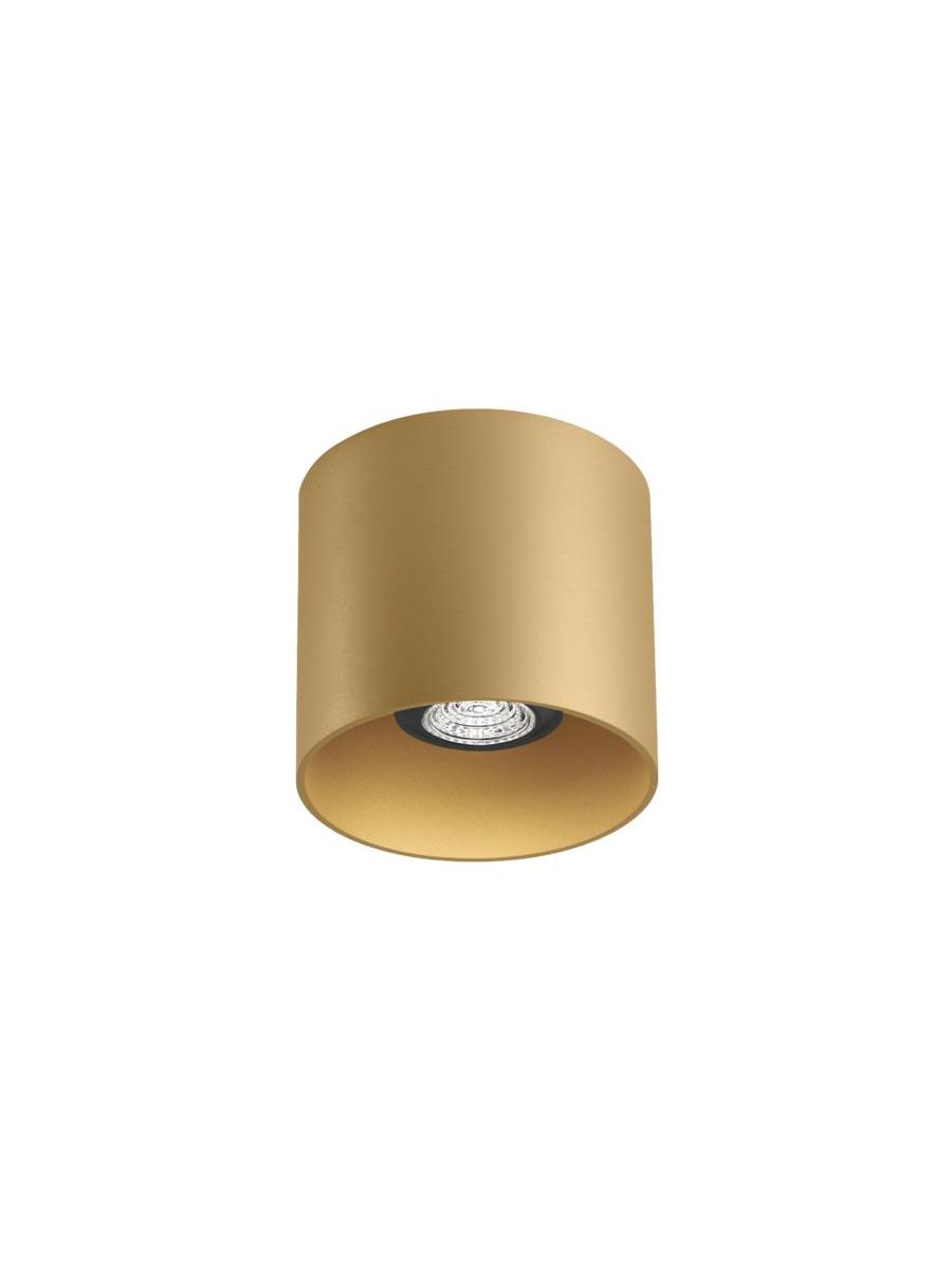RAY CEILING SURF 1.0 PAR16 M MAX. 12W GU10 100-240VAC