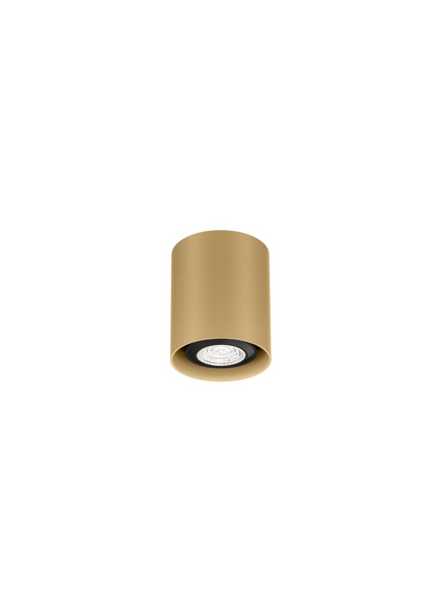 RAY MINI CEILING SURF 1.0 PAR16 M MAX. 12W GU10 100-240VAC