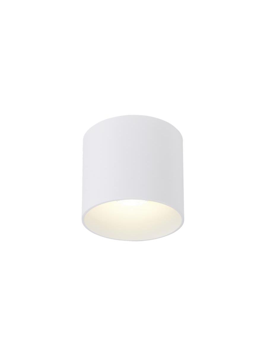 RAY OUTDOOR CEILING SURF 1.0 LED 2700K W 8W 220-240VAC DIM CRI90