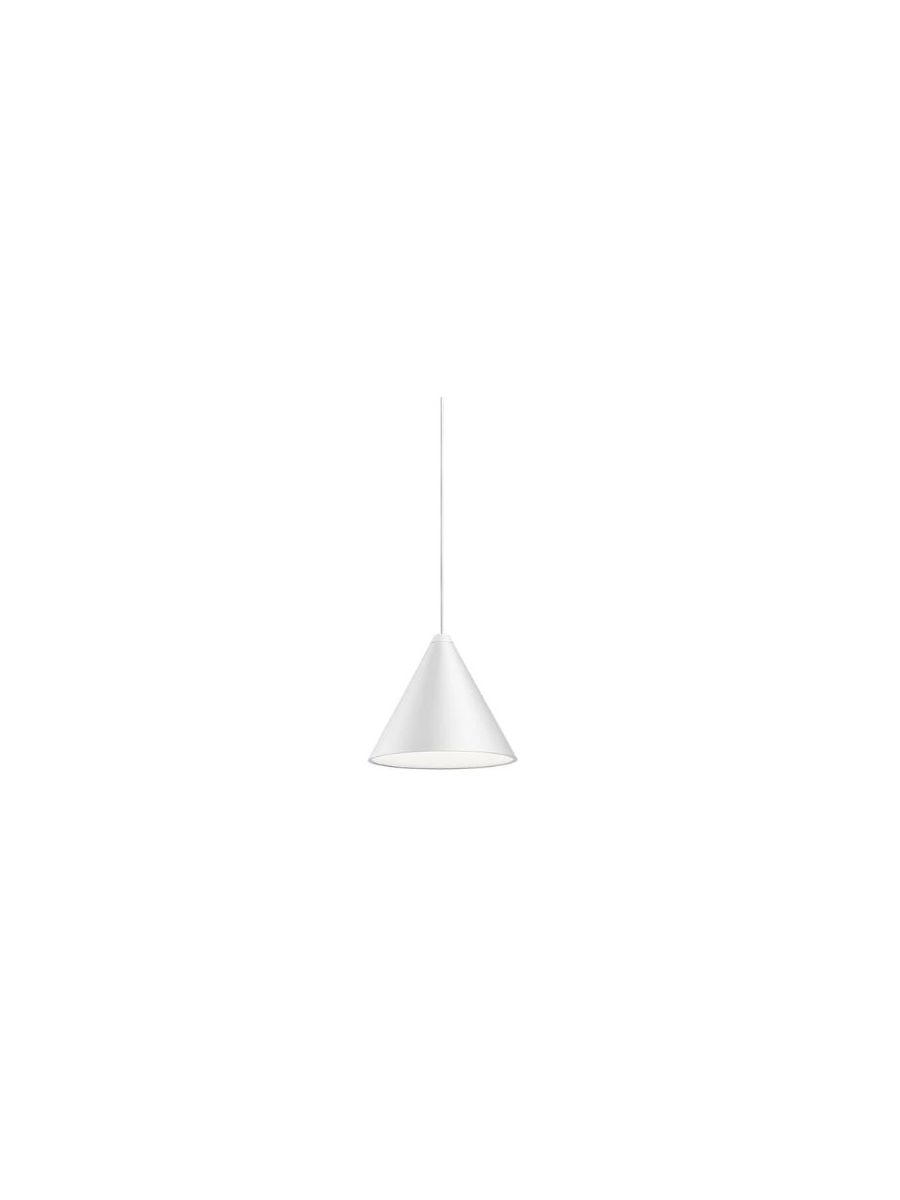 STRING LIGHT -CONE HEAD
