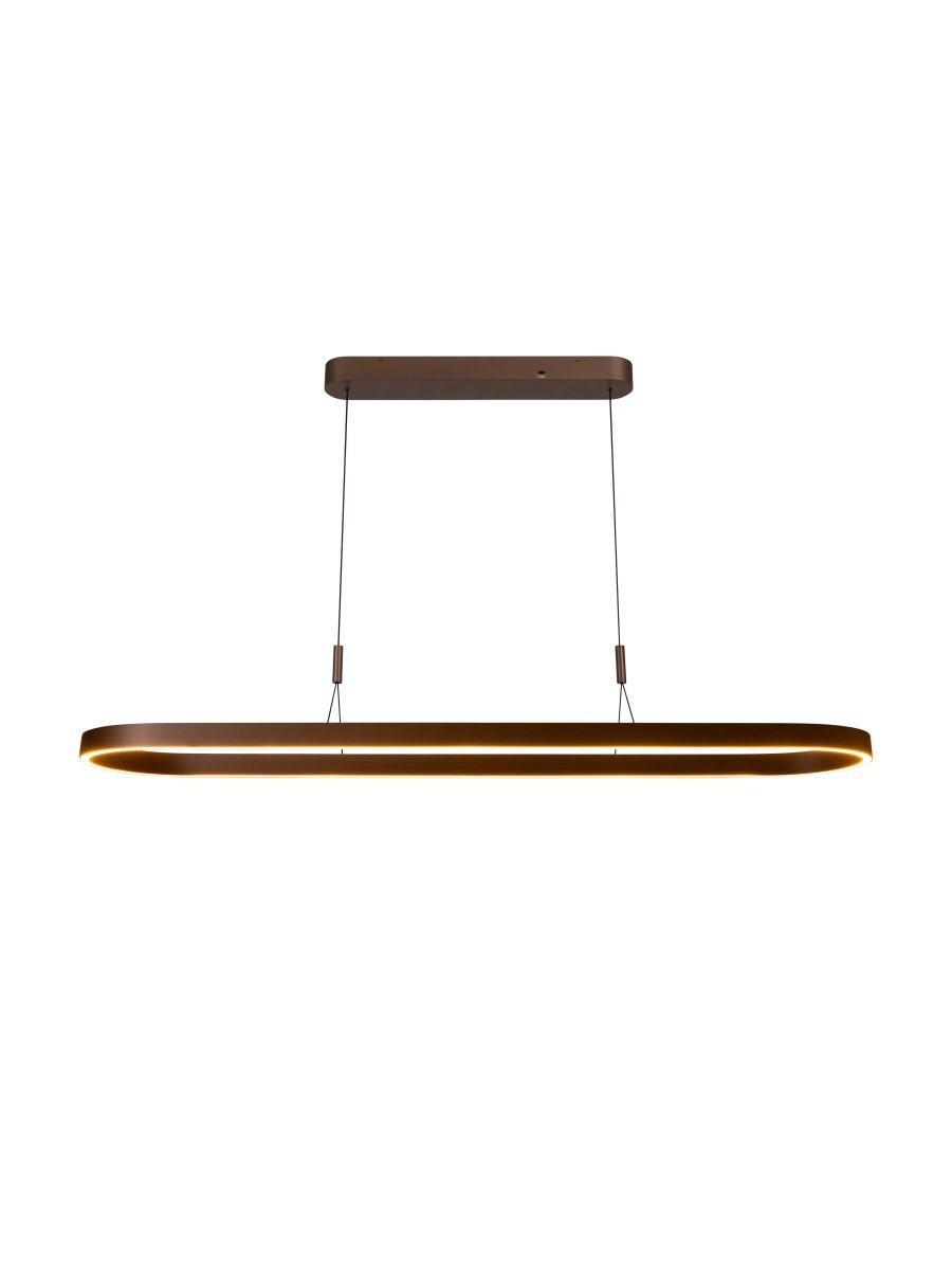 LIANE SUSPENSION ROUILLE