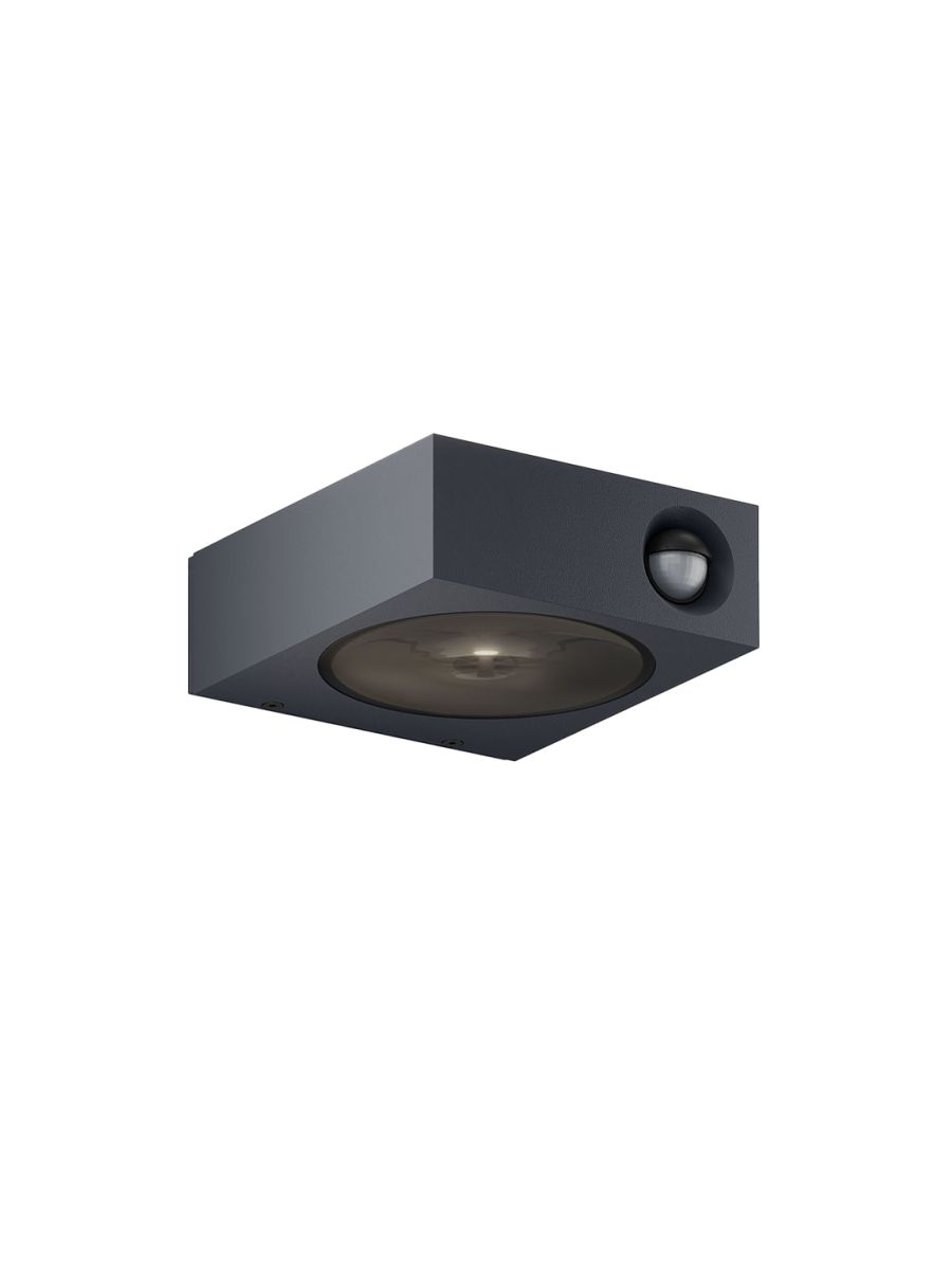 LUCI CONTROL ANTHRACITE
