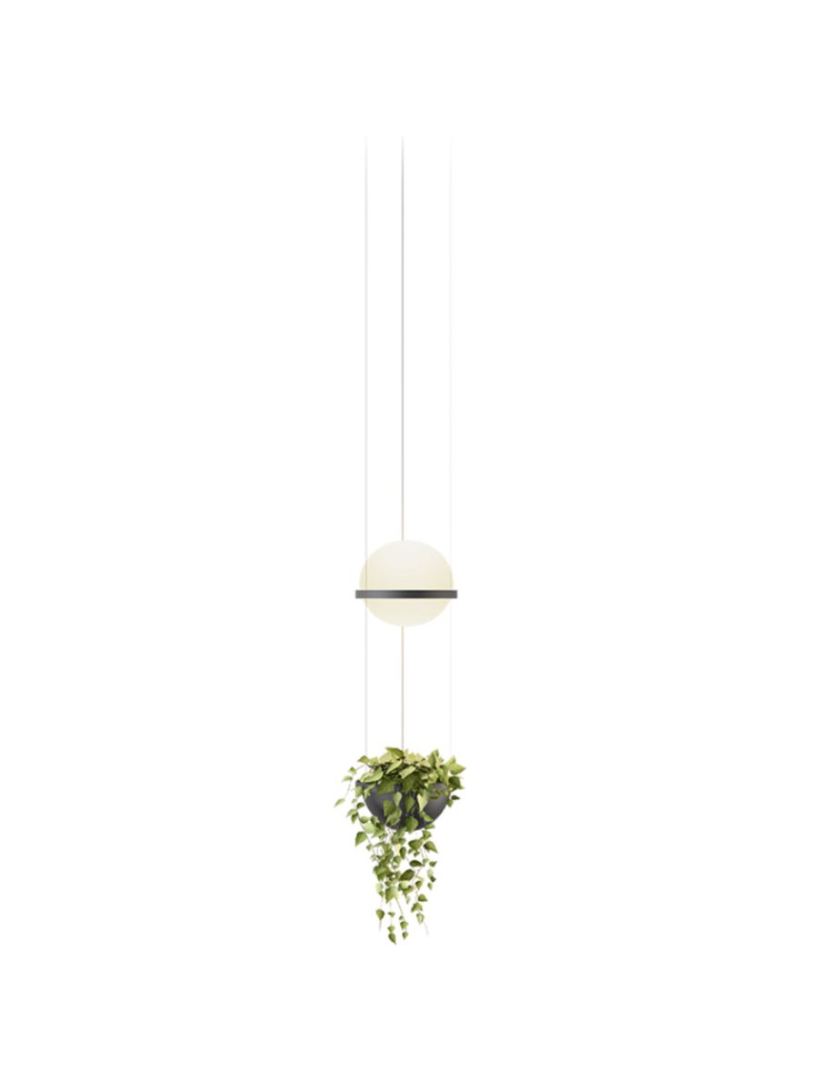 PALMA SUSPENSION-ANTHRACITE-AVEC VERDURE-DALI-1