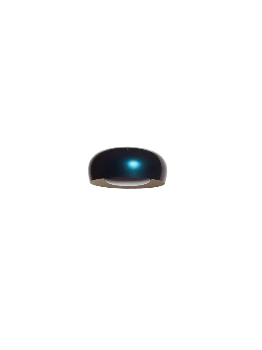 BRUSH SUSPENSION BEETLE PETITE